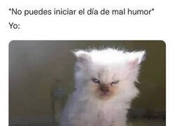 Enlace a Los lunes es obligatorio