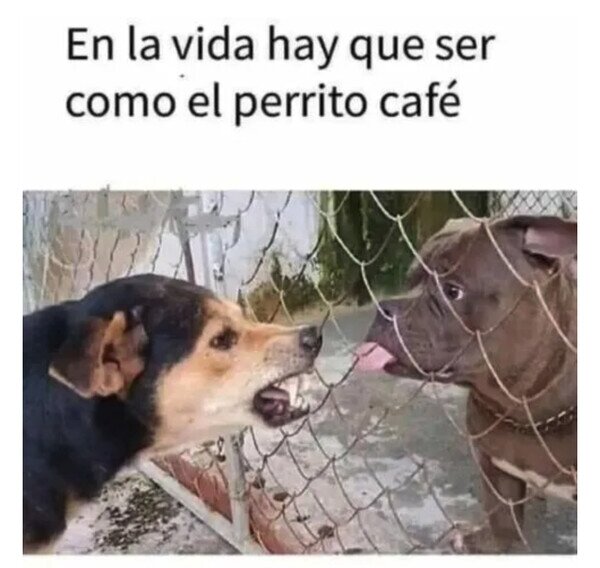 Otros - A los haters hay que darles la importancia que merecen