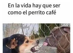 Enlace a A los haters hay que darles la importancia que merecen