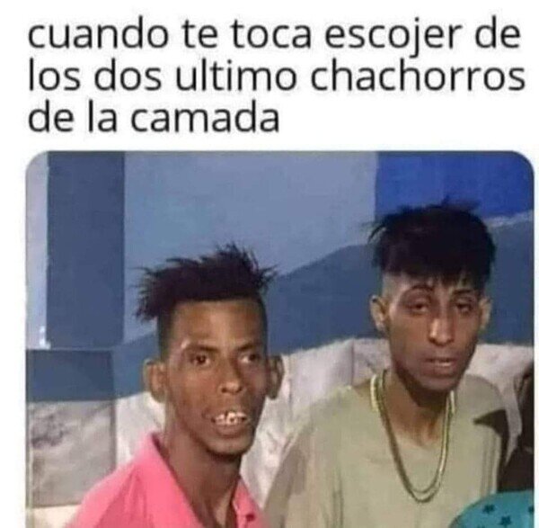 Meme_otros - No son los más agraciados