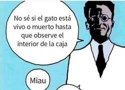 Enlace a La paradoja tiene sus fallas