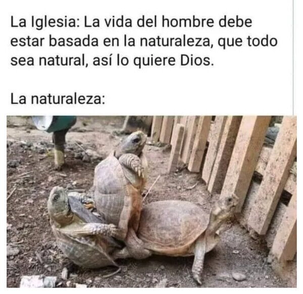 Meme_otros - El milagro de la naturaleza