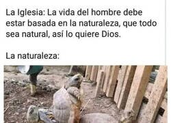 Enlace a El milagro de la naturaleza
