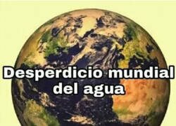 Enlace a Los que sustentan el planeta