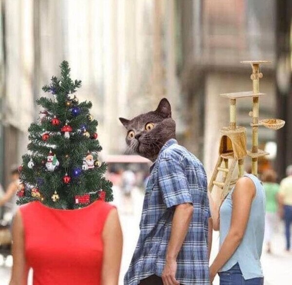 Meme_otros - Llega esa época del año