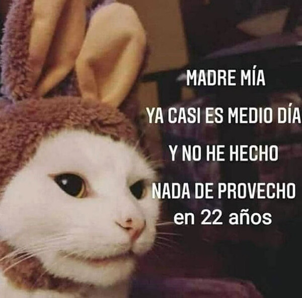 Meme_otros - Se me echa el tiempo encima