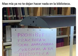 Enlace a ¿Qué será lo próximo?