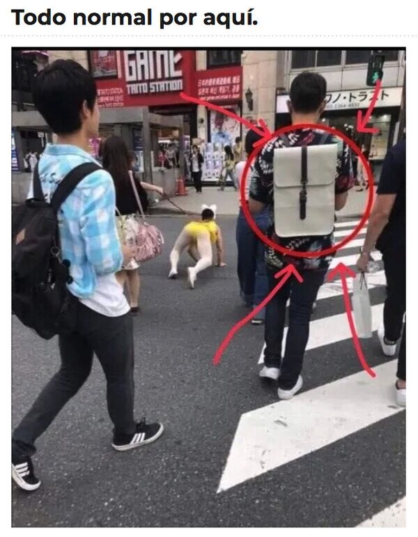 Meme_otros - ¿WTF esa mochila?