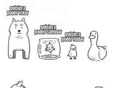 Enlace a El animal más completo