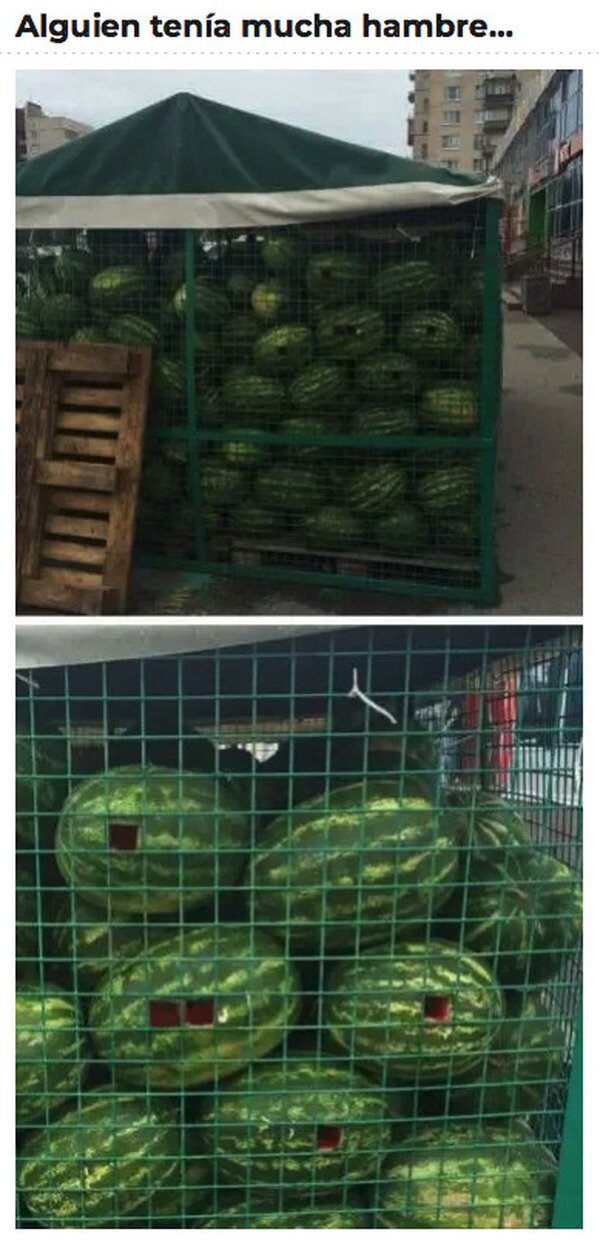 Meme_otros - Sandía a la desesperada