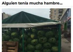 Enlace a Sandía a la desesperada