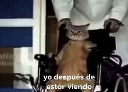 Enlace a No puedo caminar