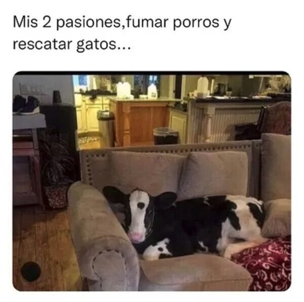 Otros - Una de mis pasiones afecta a la otra