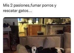 Enlace a Una de mis pasiones afecta a la otra