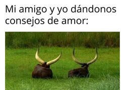 Enlace a Así nos va