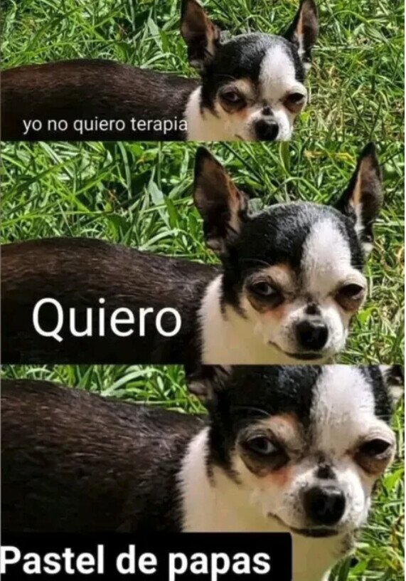 Meme_otros - Yo en la vida
