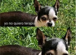 Enlace a Yo en la vida