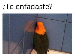 Enlace a Si me enfado lo hago notar