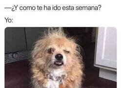 Enlace a Semana dura