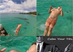 Enlace a Quieren volar alto