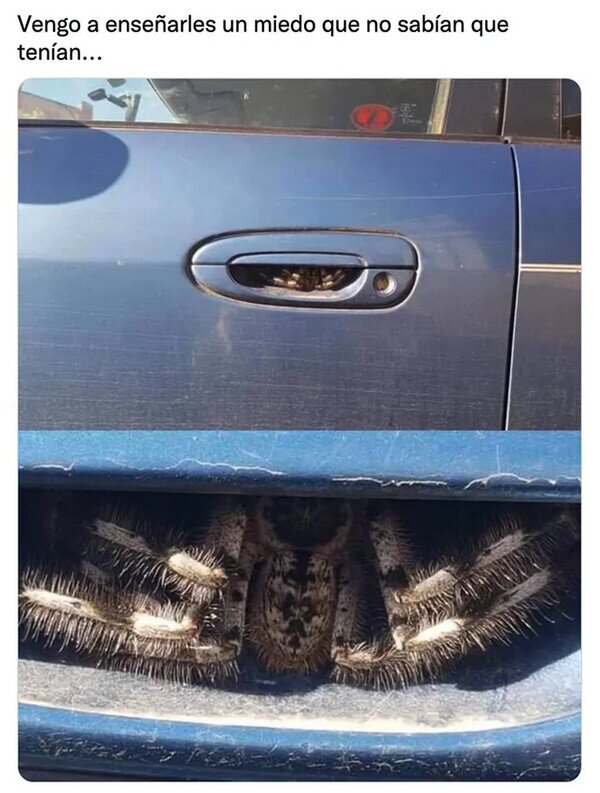 Meme_otros - Ya no abrirás la puerta de tu coche tan tranquilo