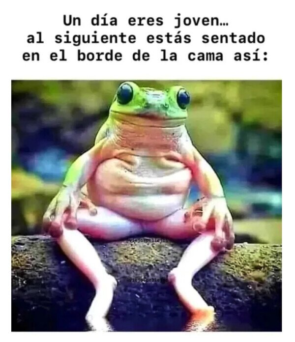 Meme_otros - Pensando en qué estoy haciendo con mi vida