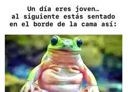 Enlace a Pensando en qué estoy haciendo con mi vida