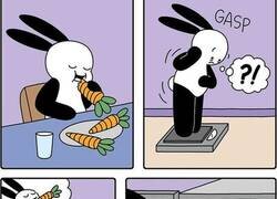 Enlace a Ahora todo tiene sentido