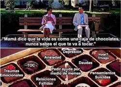 Enlace a La caja de bombones de la vida