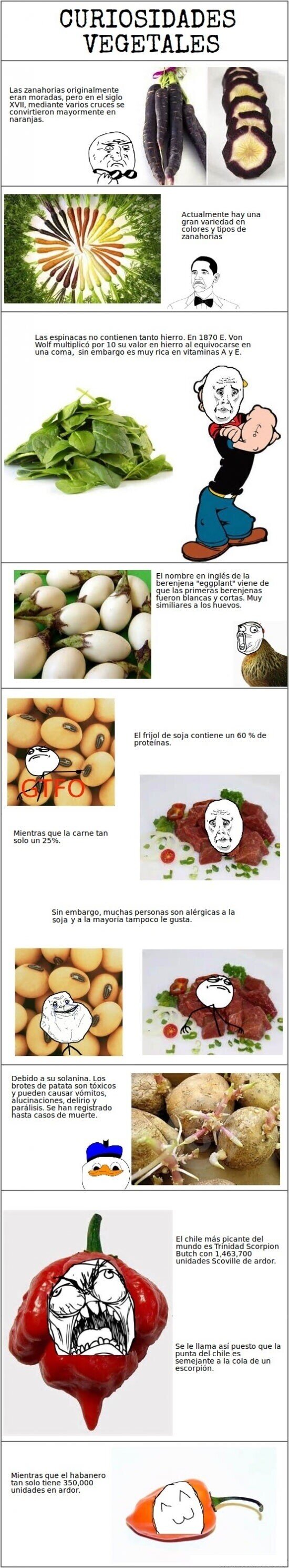 Allthethings - Unas pequeñas curiosidades vegetales