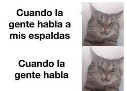 Enlace a Muy social no soy