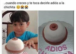 Enlace a Adiós a la chichita