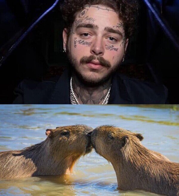 Meme_otros - A lo que me recuerda el bigote de Post Malone
