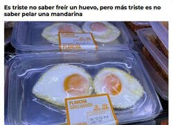 Enlace a Merecemos extinguirnos