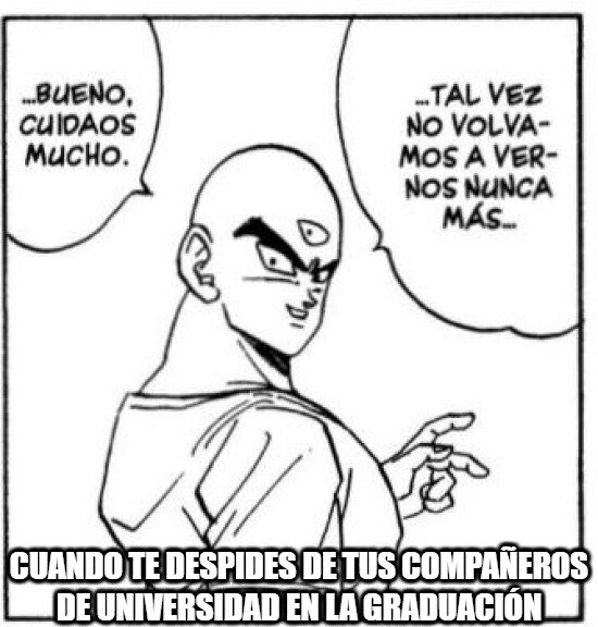 Meme_otros - Quizá no volvamos a vernos nunca más