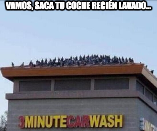 Meme_otros - Te están esperando fuera