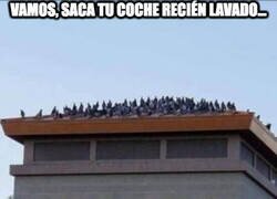 Enlace a Te están esperando fuera