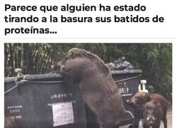 Enlace a ¿Qué es esa mala bestia?