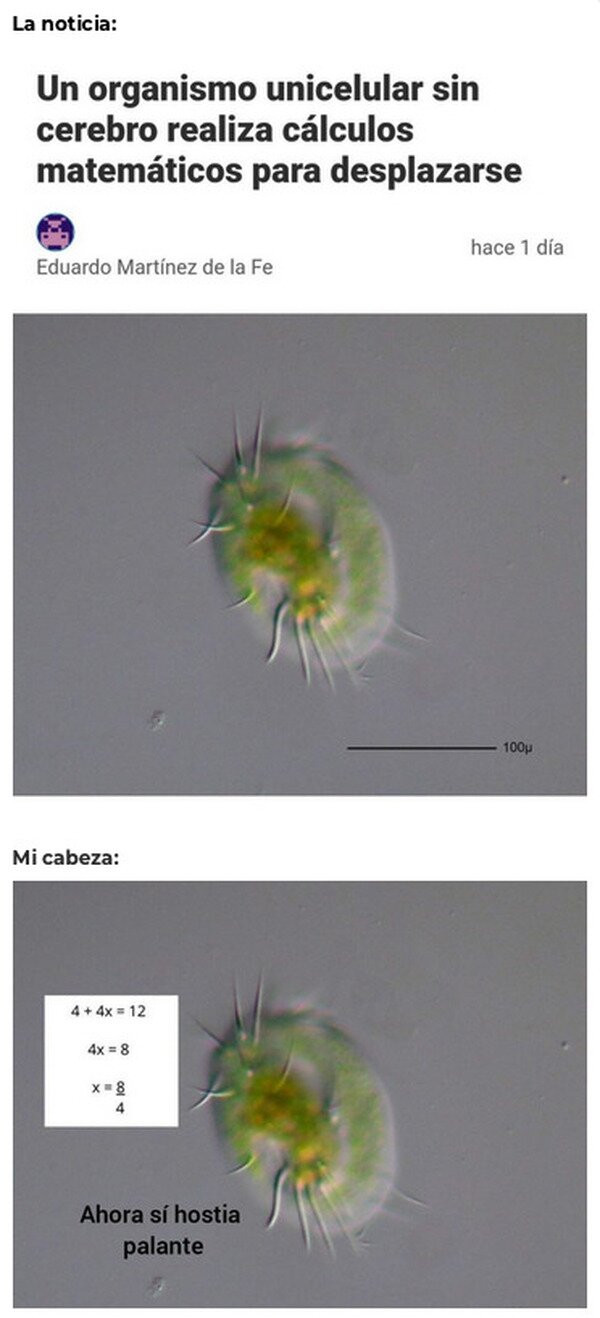 Meme_otros - En mi cabeza lo hace así