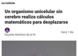 Enlace a En mi cabeza lo hace así