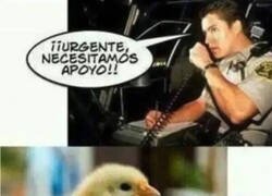 Enlace a Lo necesitan