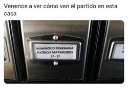 Enlace a Curiosa convivencia