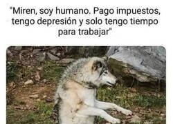 Enlace a Podrían reírse de nosotros