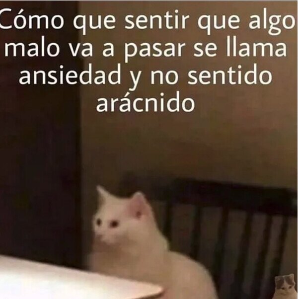 Meme_otros - Yo pensaba que era SpiderMan