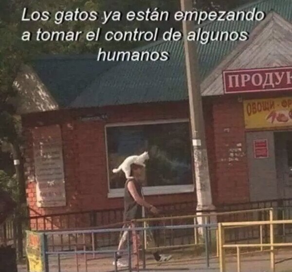 Otros - Pronto dominarán el mundo