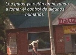 Enlace a Pronto dominarán el mundo