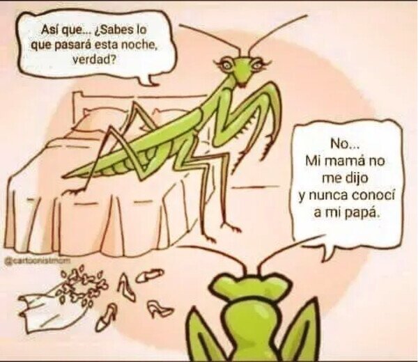 Otros - La compleja vida amorosa de las Mantis