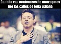 Enlace a Er furbo es asin