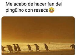 Enlace a Te quiero mucho, pingüino con resaca