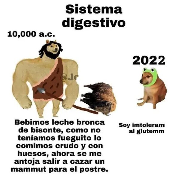 Otros - Sistema digestivo antes y ahora